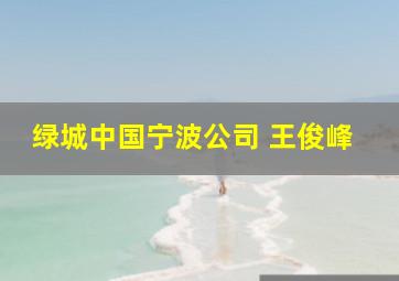 绿城中国宁波公司 王俊峰